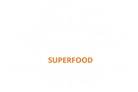 Vaccashe